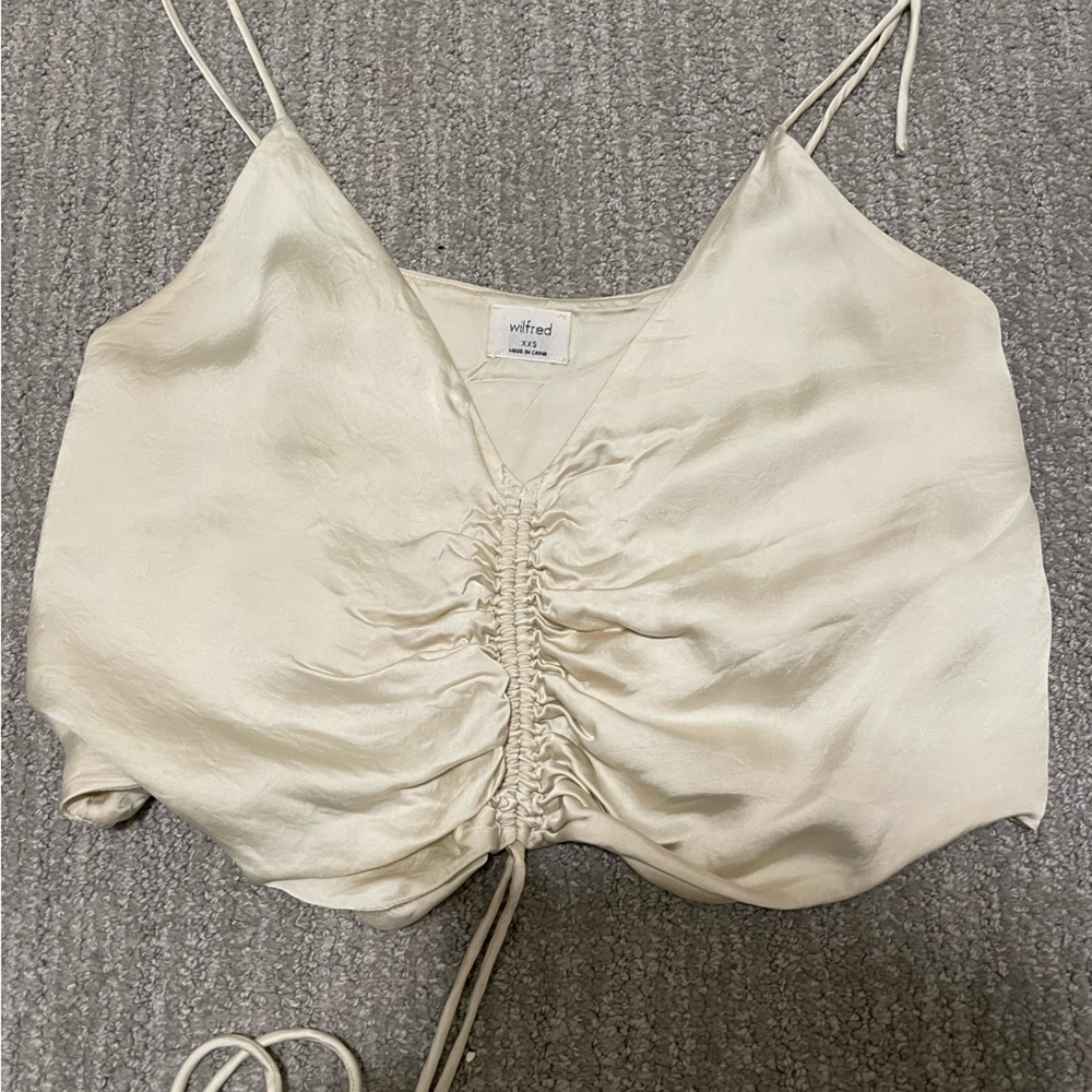 Aritzia Crop top